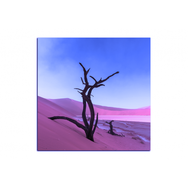 Obraz na plátně - Mrtvý strom v dunách - čtverec